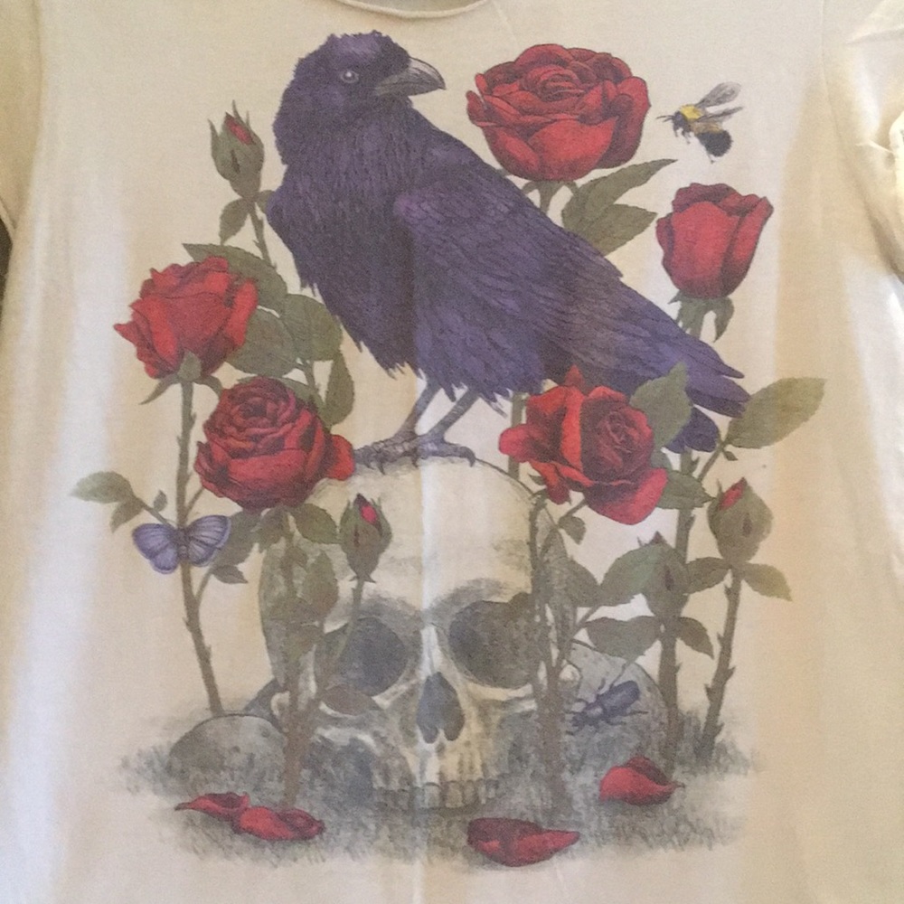 Raven T